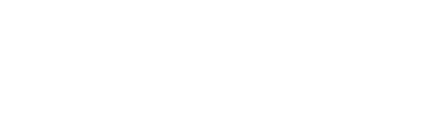 Fly Travel Logo