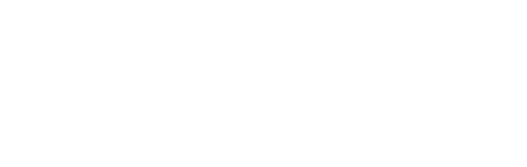 Fly Travel Logo